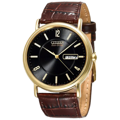 Citizen Eco-Drive Gold-Tone Leather Watch
