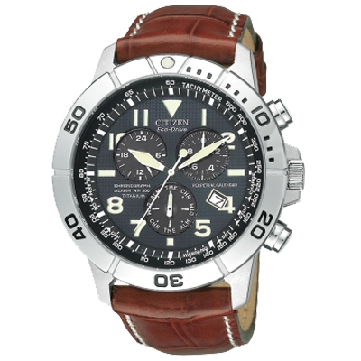 Citizen Perpetual Calendar Chrono Titanium Watch