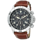 Citizen Perpetual Calendar Chrono Titanium Watch