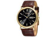 Citizen Eco-Drive Gold-Tone Leather Watch