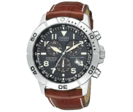 Citizen Perpetual Calendar Chrono Titanium Watch